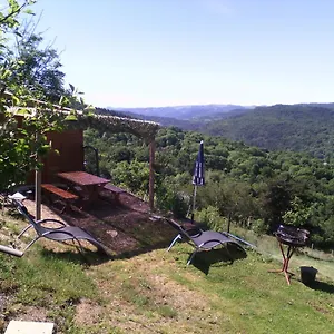 Petit De Montagne Saint-Nectaire